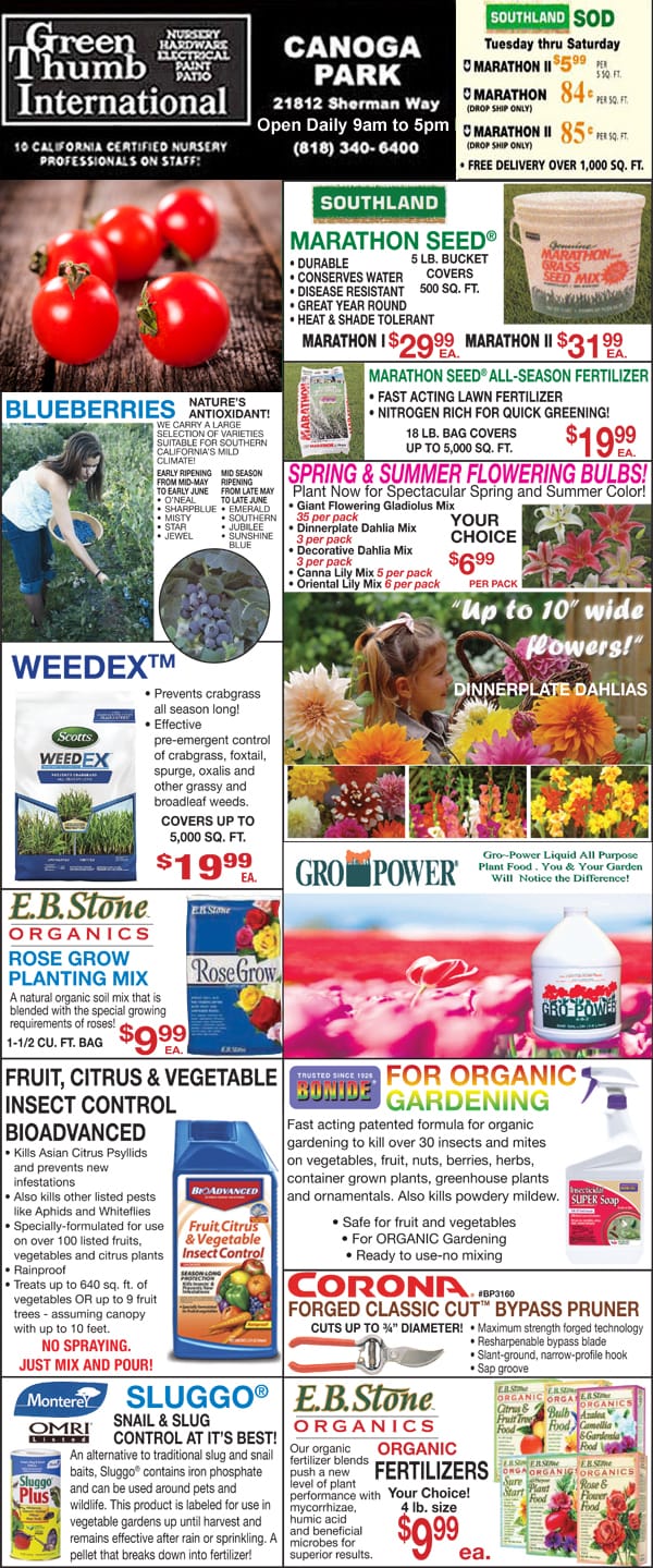 21121 Ad for Canoga Park Green Thumb Nursery