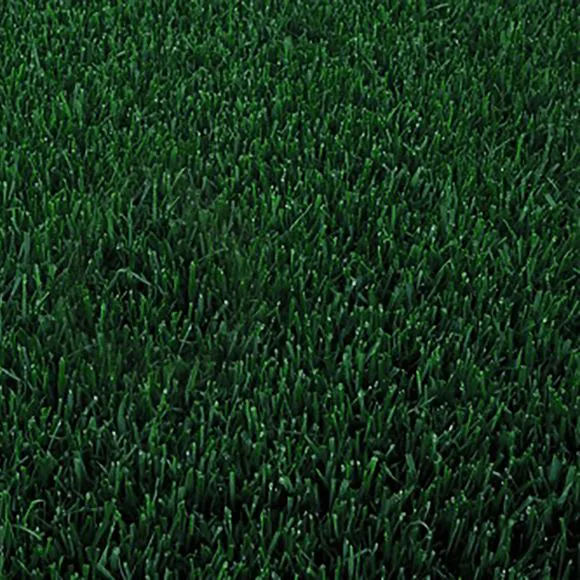 A close up of a lush green grass field, perfect for finding the best garden center near me.