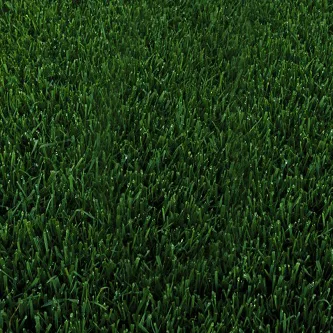A close up of a green grass field at a socal garden center.