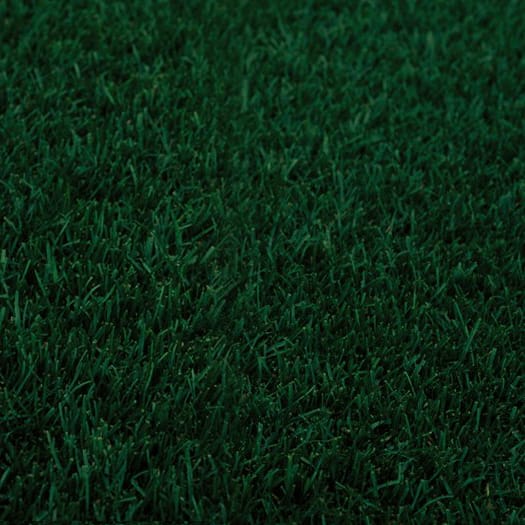 A close-up image of lush green grass found at a local garden center near me.