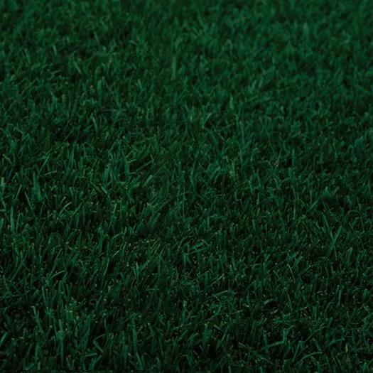 A close-up image of lush green grass found at a local garden center near me.