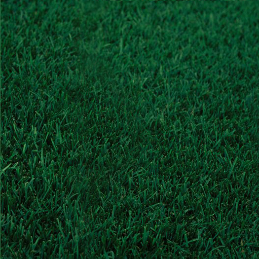 A picturesque view of a lush green grass field.