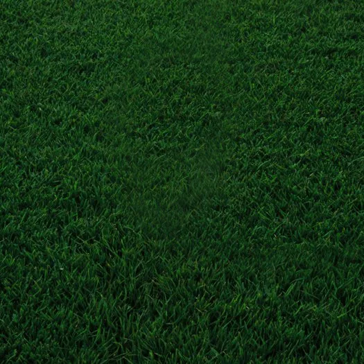 A soccer ball resting on a green field at the best garden center near me.