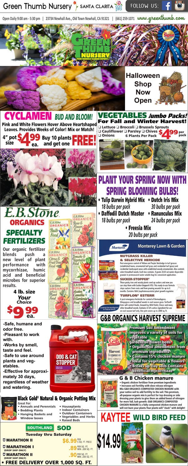 102121 Ad for Newhall Santa Clarita Green Thumb Nursery