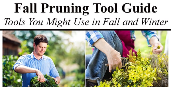 Fall pruning tool guide at a garden center near me.