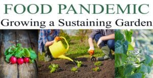 Growing a sustainable garden using the best plant nursery near me.