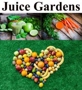 A heart-shaped arrangement of fruits and vegetables in a plant nursery near me.