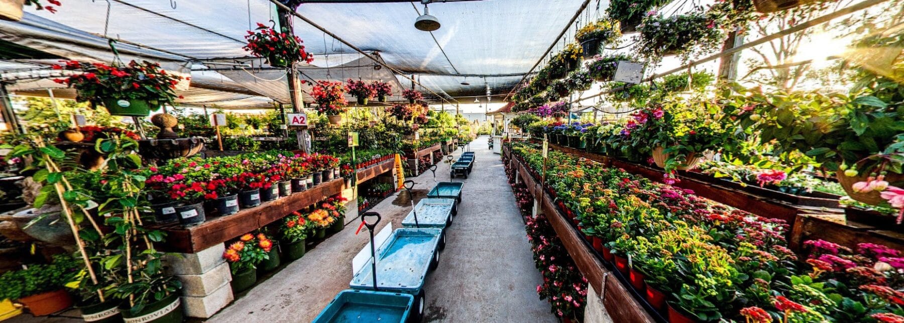 Green Thumb Nursery Newsletter Signup Green Thumb Nursery