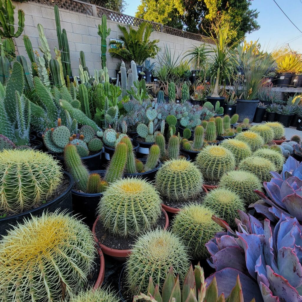 Green Thumb Nursery Newsletter Signup Green Thumb Nursery