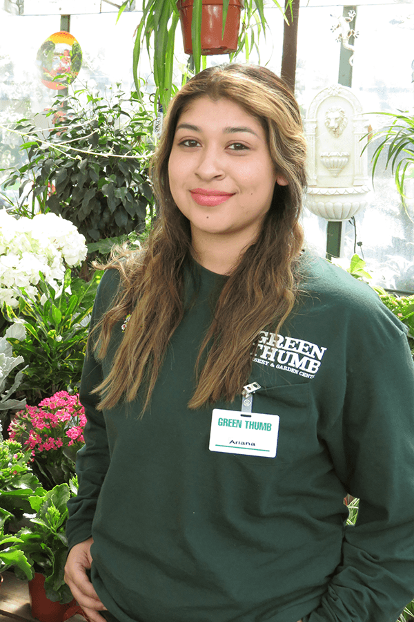 Canoga Park Garden Experts Green Thumb Nursery