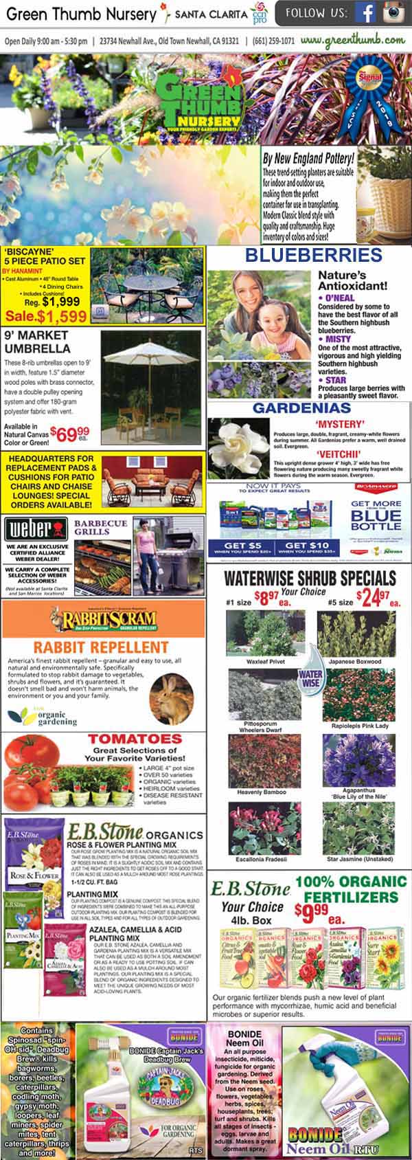 6022022 Ad for Newhall Santa Clarita Green Thumb Nursery