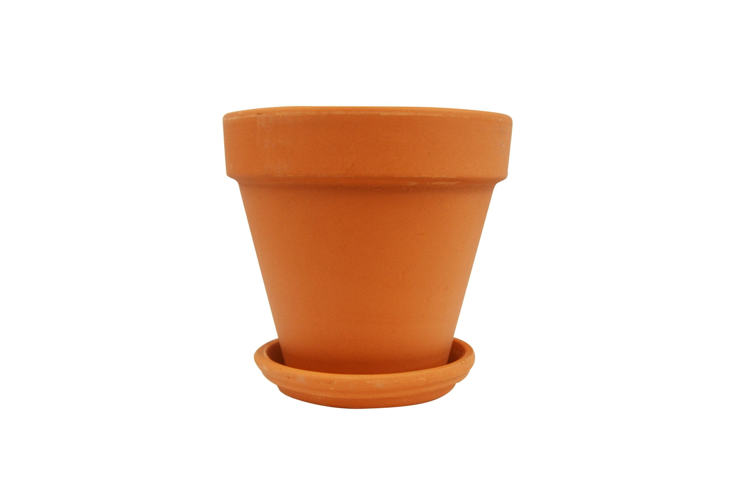 A small orange clay pot at a plant nursery near me.