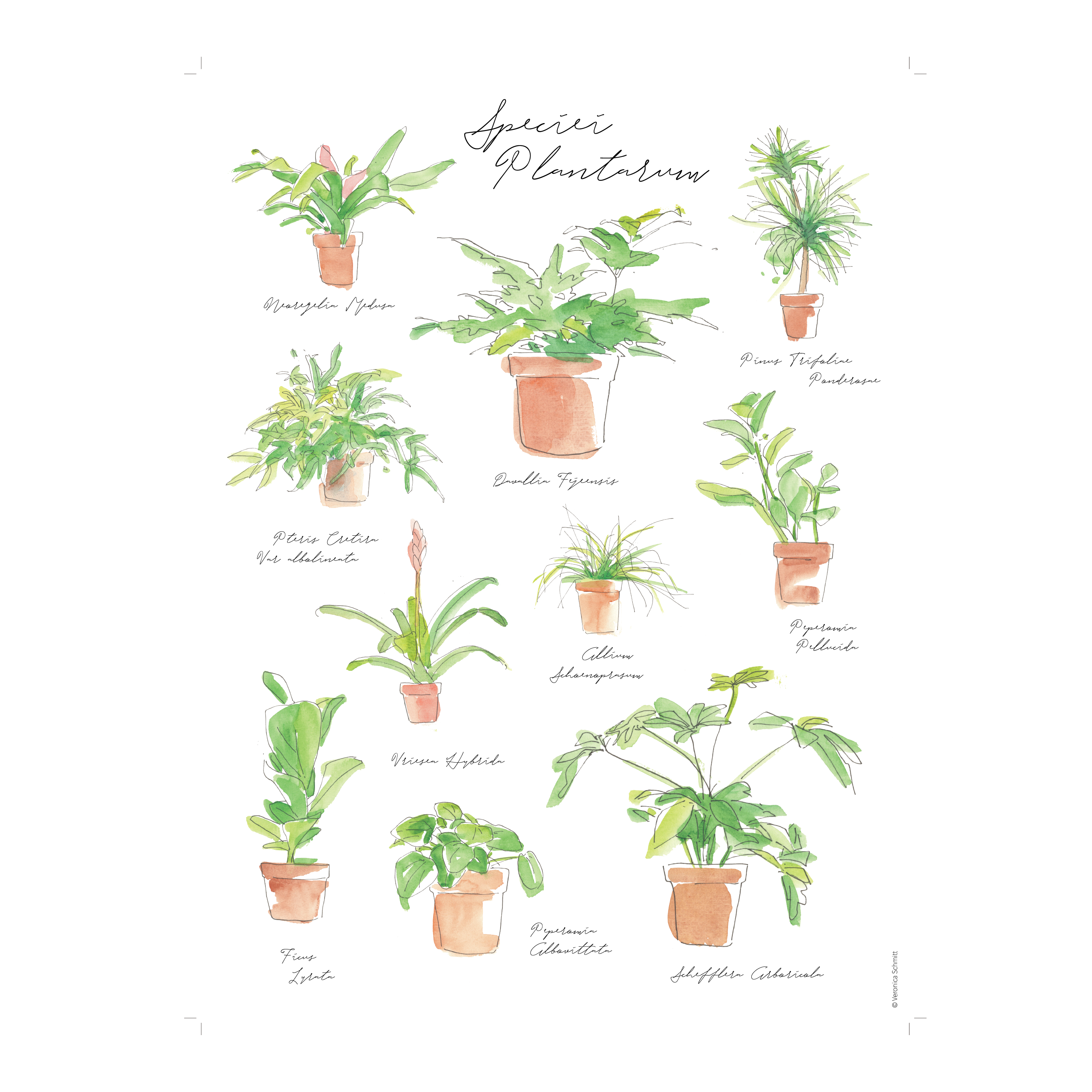 A painting of various plants in pots, perfect for anyone seeking a nursery near me or a plant nursery near me.