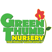 Green Thumb Nursery