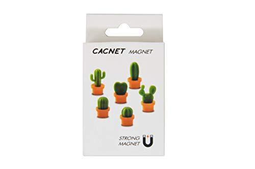 A package of cactus plants from one of the top plant nurseries near me.