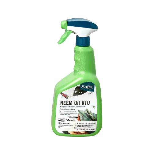 A bottle of neem oil spray, available at the best plant nursery near me.