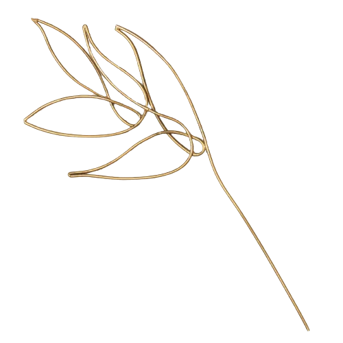 A stunning gold leaf rests upon a mesmerizing black background at the best garden nursery near me.