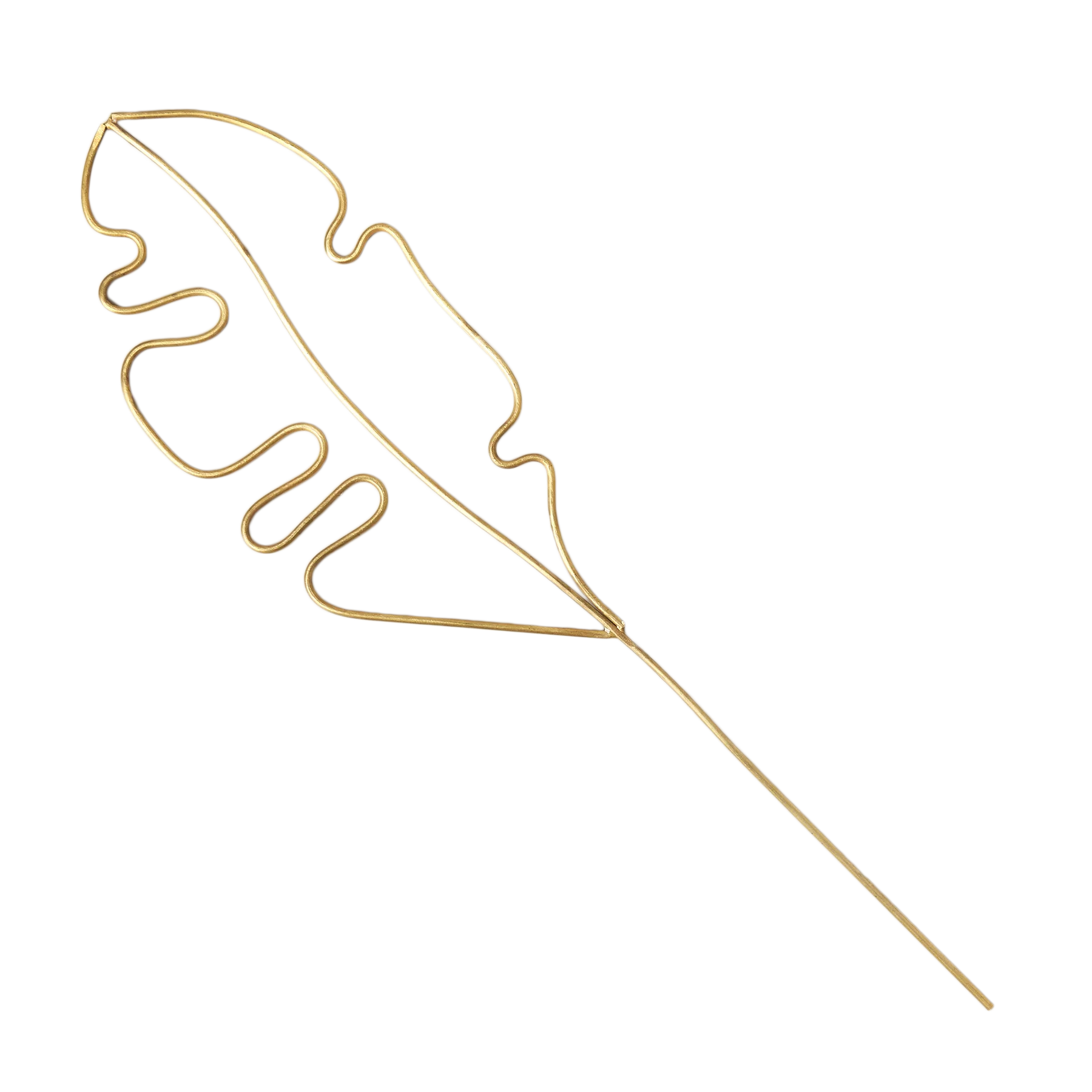 A magnificent gold leaf on a stick elegantly displayed at the best plant nursery near me.
