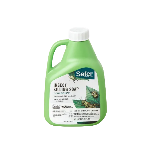 A gallon of safe insect killing soap on a dark background at the best plant nursery near me.