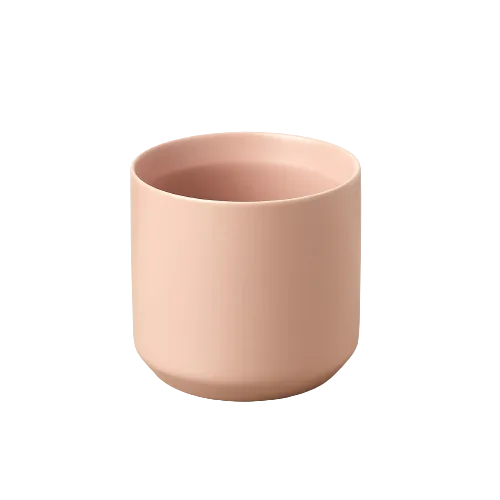 A small pink pot on a black background at the best garden center near me.
