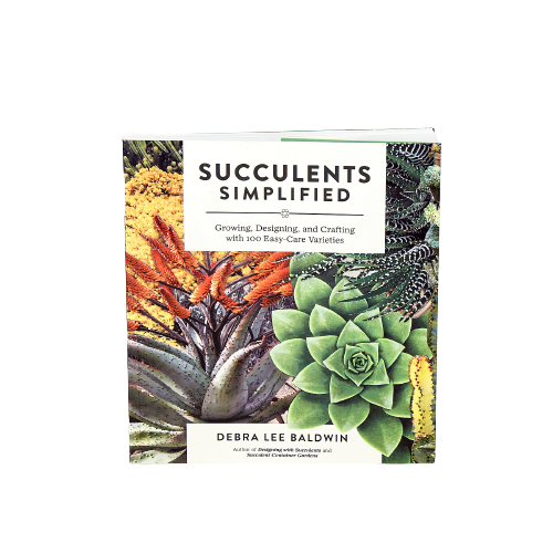 Simplified succulent care at the best plant nursery near me.