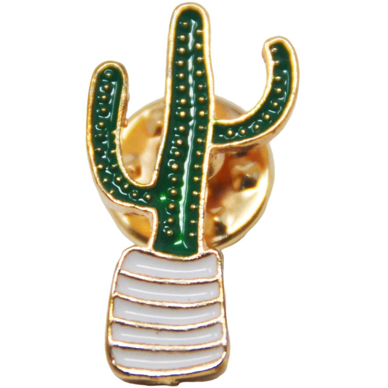 A cactus lapel pin with green and white stripes available at a top garden center near me.