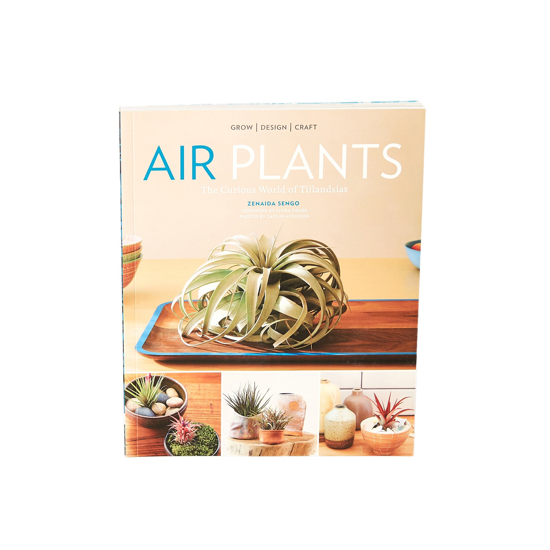 The air plants book is displayed on a table at one of the top plant nurseries near me.