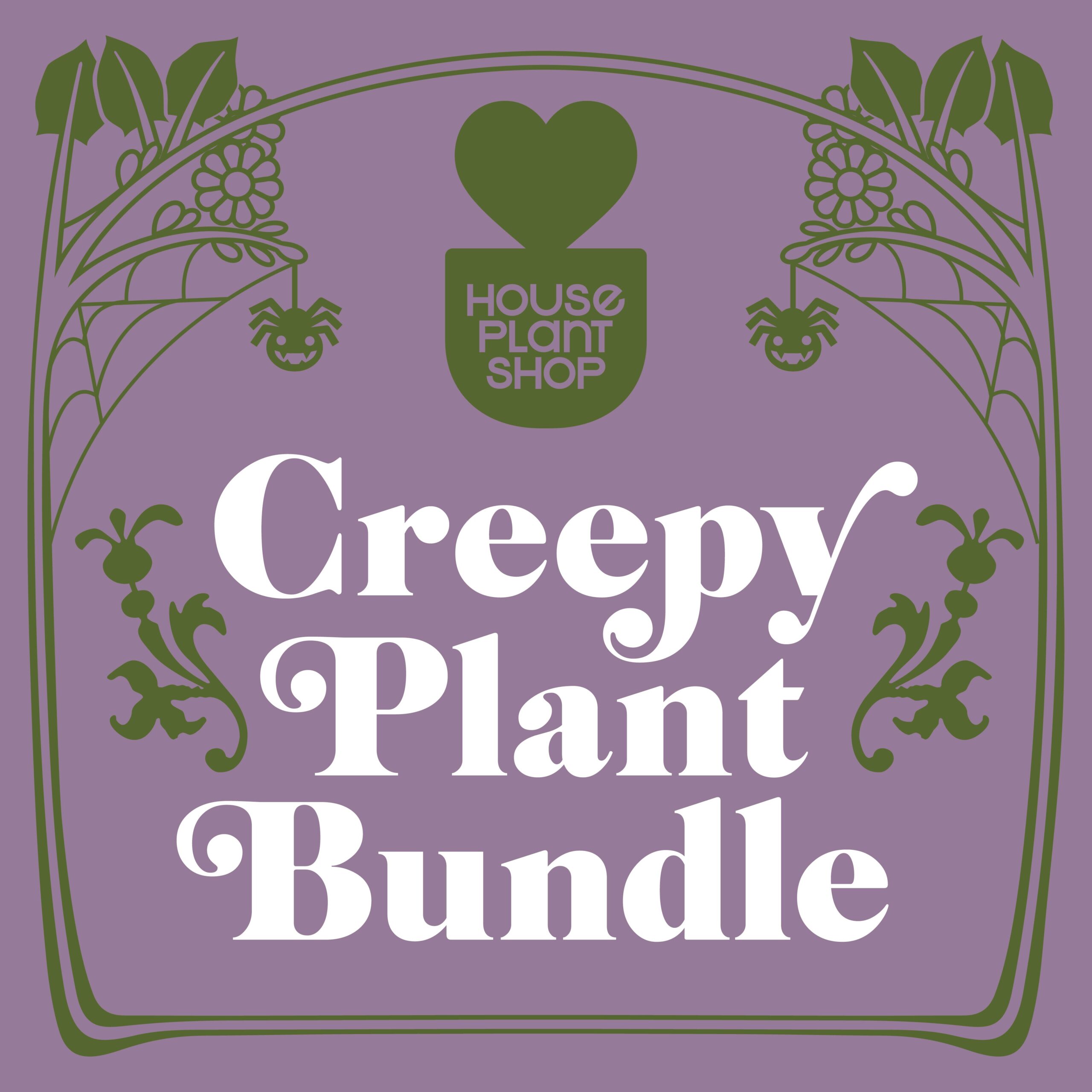 Creepy plant bundle available at the best garden center near me.