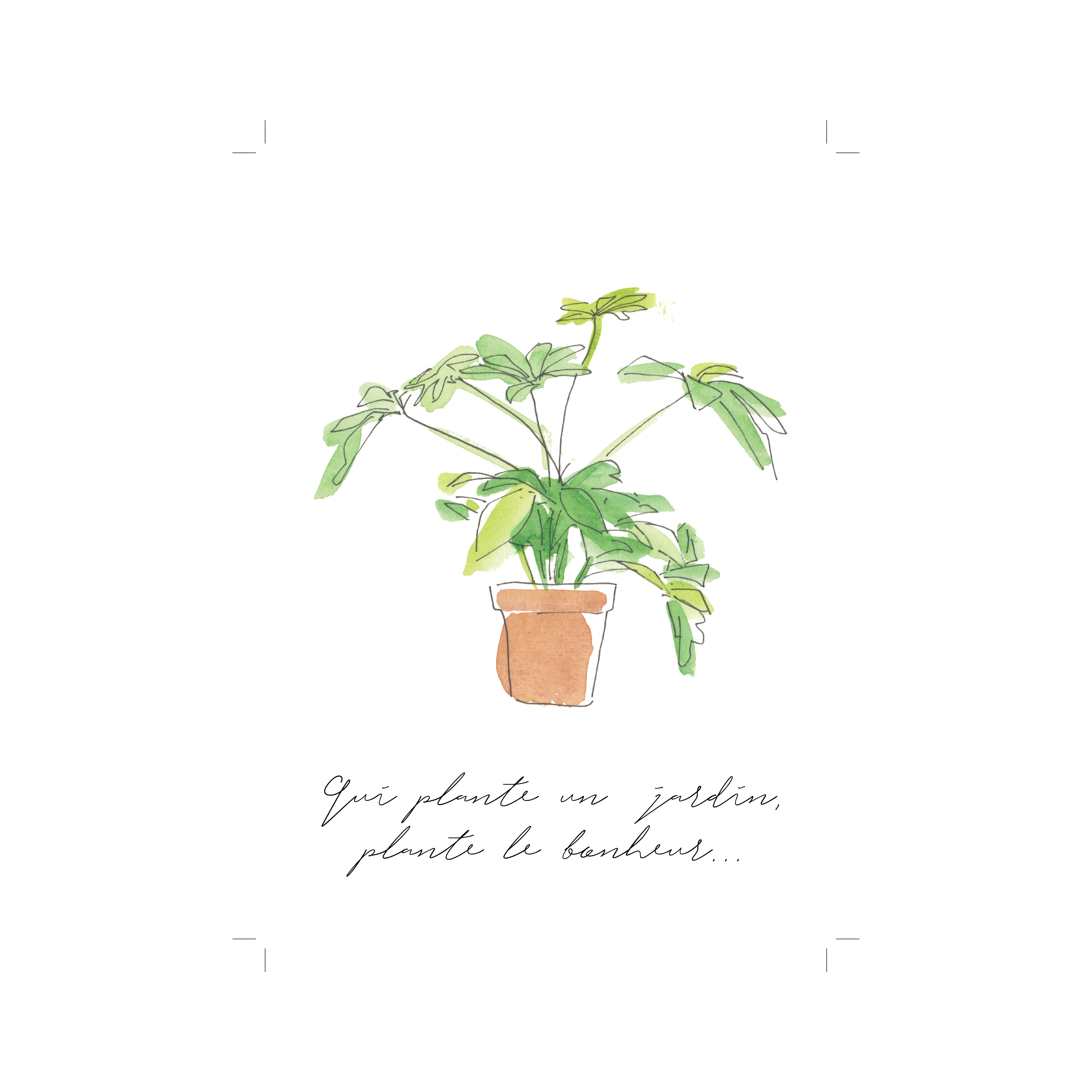 An illustration of a plant in a pot from a top plant nursery near me.