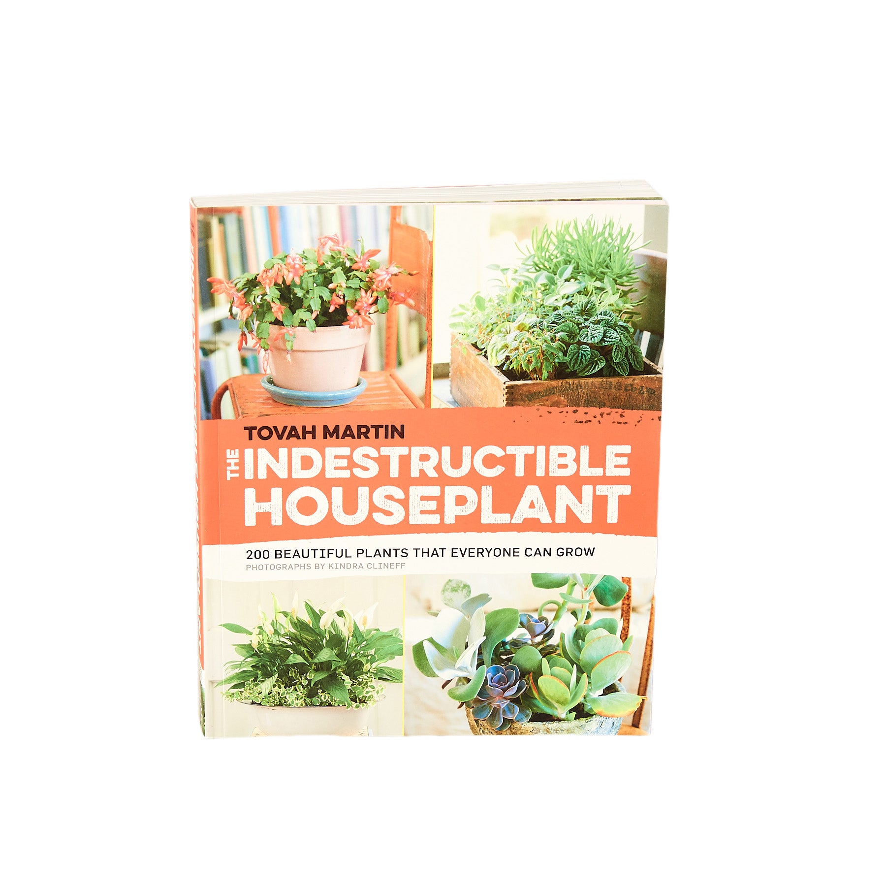 Discover the wonders of Tom Martin's indestructible houseplant at one of the top garden centers near me.