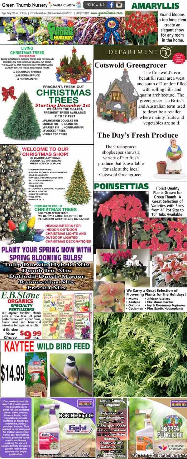 11102022 Ad for Newhall Santa Clarita Green Thumb Nursery