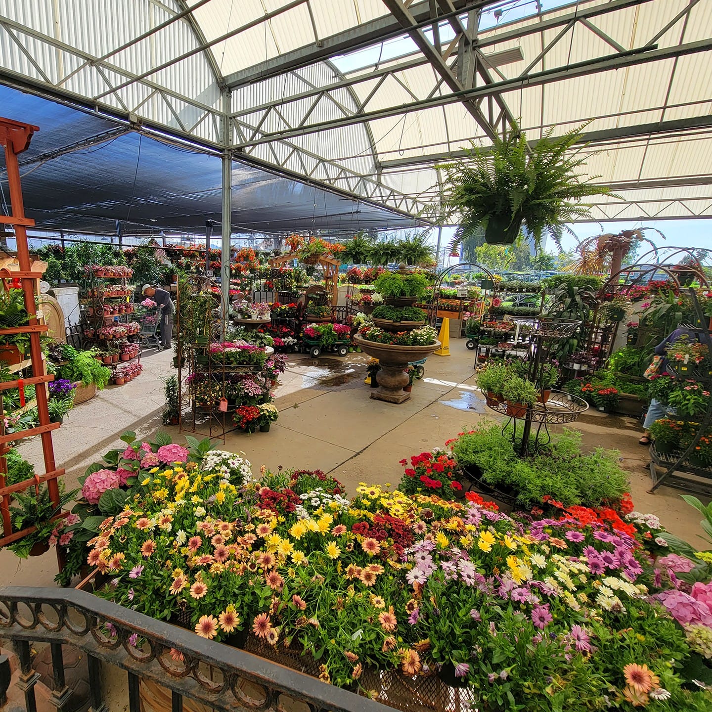 Green Thumb Garden Center Locations Green Thumb Nursery
