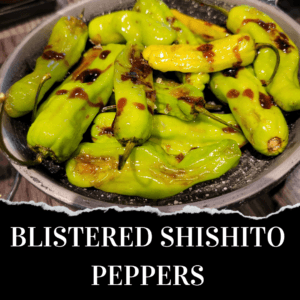 A bowl of blistered shishito peppers with char marks, served on a dark plate. Text below reads "Blistered Shishito Peppers.