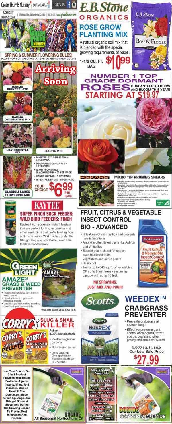 2022023 Ad for Newhall Santa Clarita Green Thumb Nursery