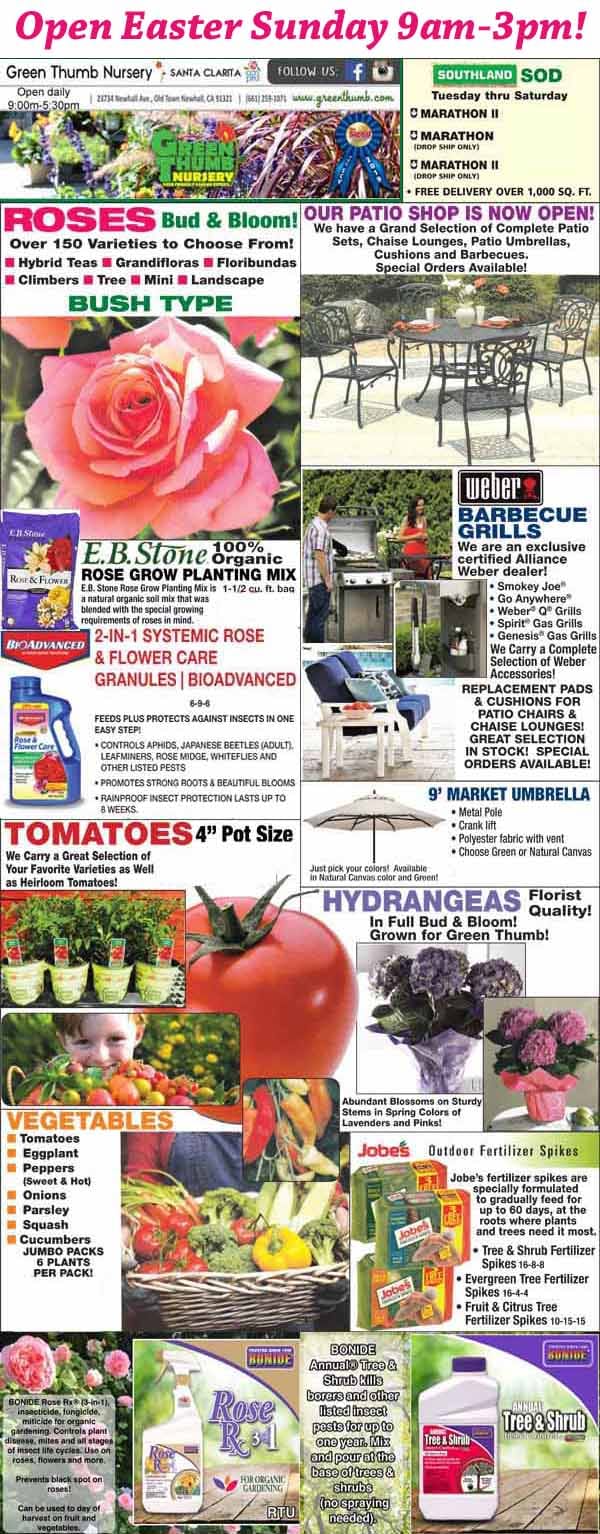 4062023 Ad for Newhall Santa Clarita Green Thumb Nursery
