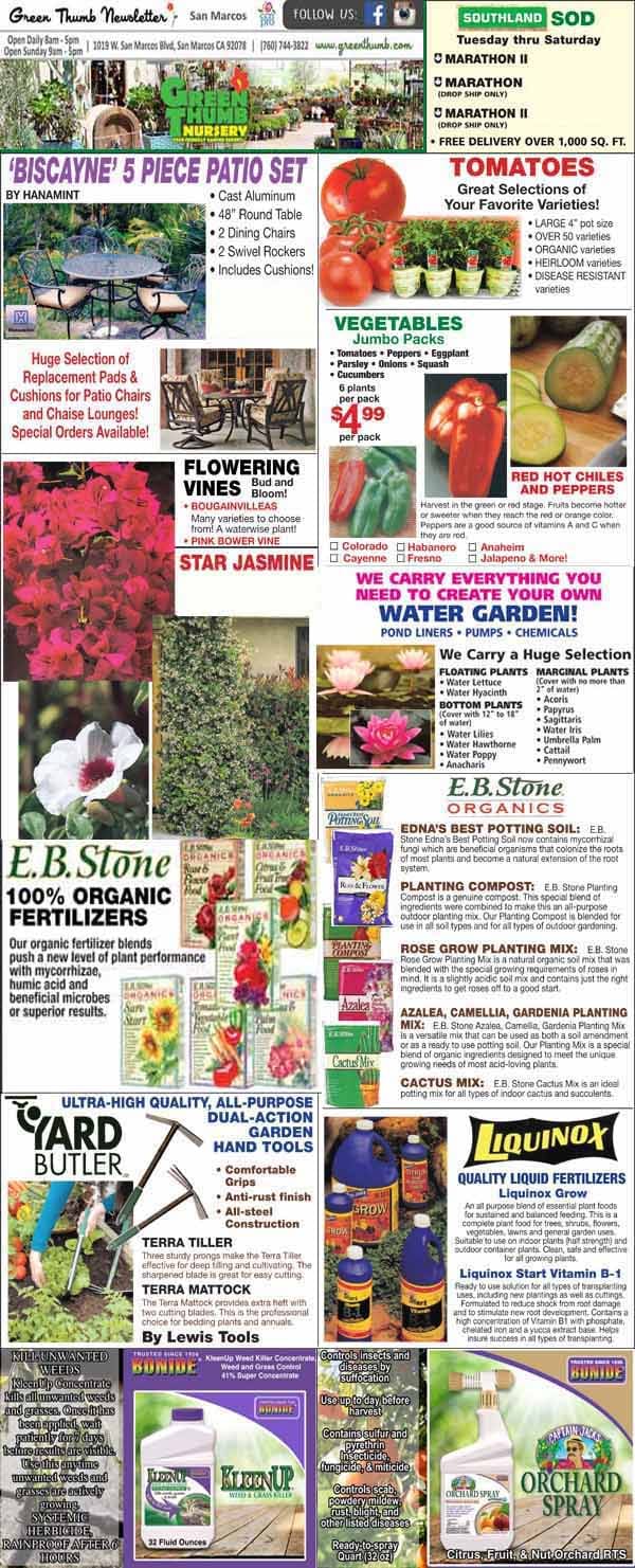 4-13-2023 Ad for San Marcos - Green Thumb Nursery