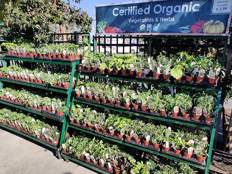 Green Thumb Nursery Lake Forest Orange County’s Best Green Thumb Nursery