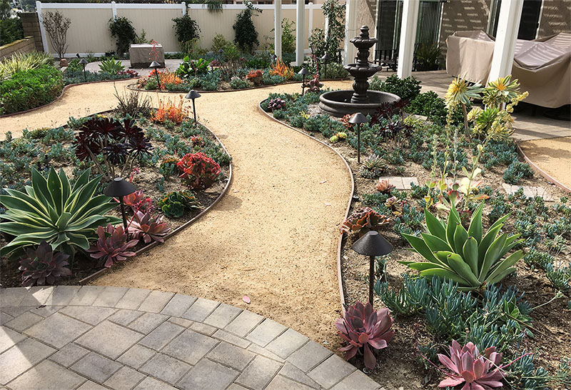 landscape-design-service-succulent-design-example-1 (2) free landscape design at green thumb nursery