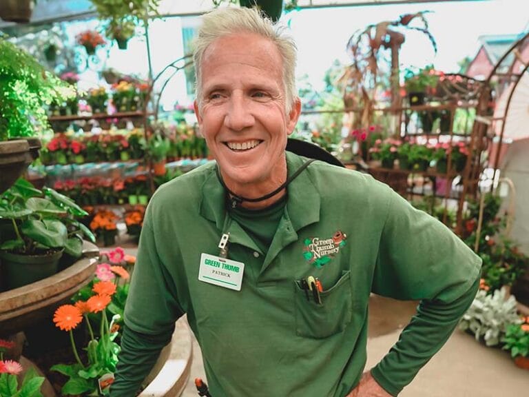 Green Thumb Nursery Canoga Park Green Thumb Nursery