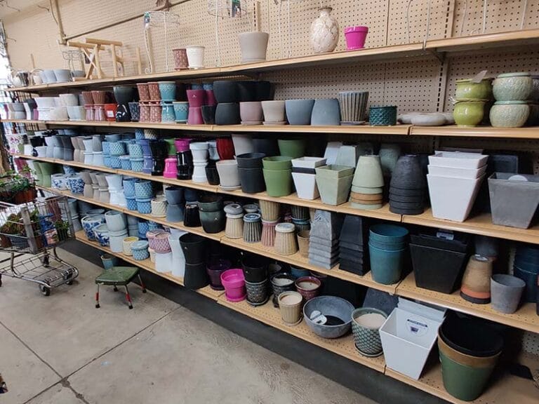 Green Thumb Nursery Canoga Park Green Thumb Nursery