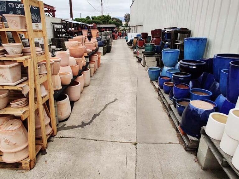 Green Thumb Nursery Canoga Park Green Thumb Nursery