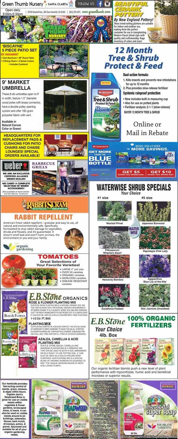 5182023 Ad for Newhall Santa Clarita Green Thumb Nursery