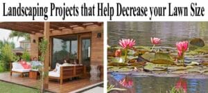 Two images: one shows people sitting under a wooden pergola on a patio; the other shows pink water lilies floating on a pond.