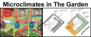 Illustrations showing different microclimates in a garden, with diagrams indicating areas of trapped heat, cool spots, wind protection, sunlight, and shade around a house.