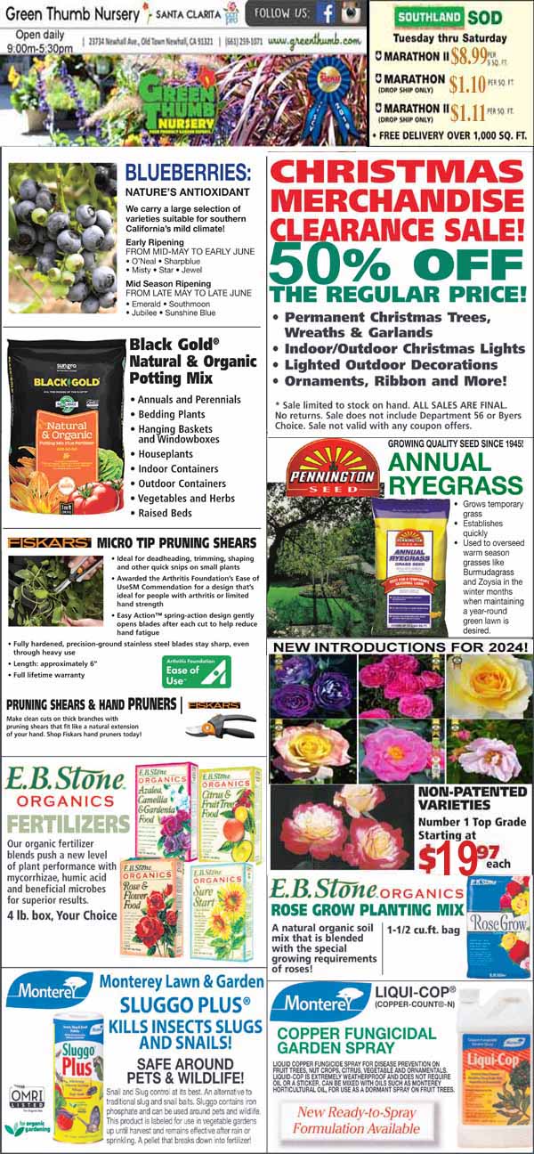 12282023 Ad for Newhall Santa Clarita Green Thumb Nursery
