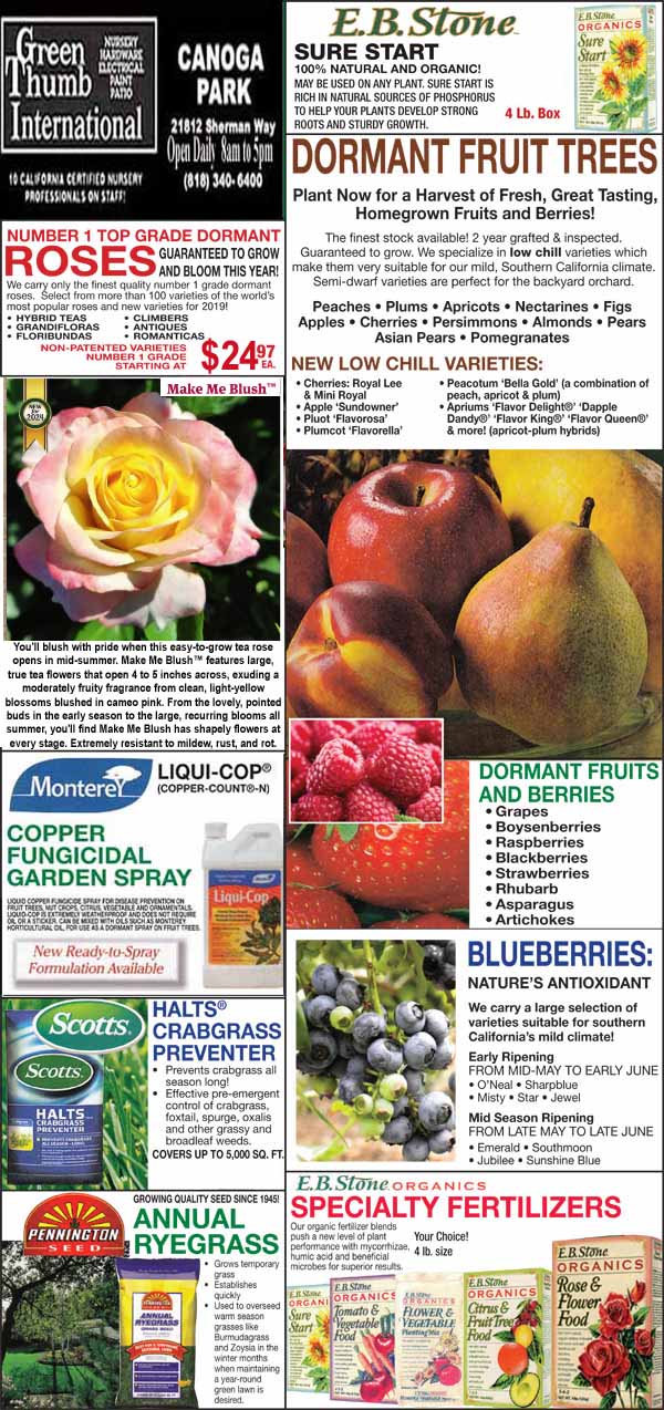 1182024 Ad for Canoga Park Green Thumb Nursery