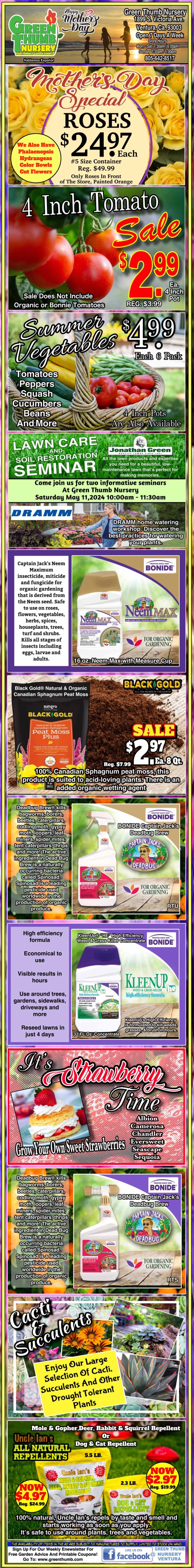 Colorful vertical banner advertising a 4-inch discus fish sale at joe's fish store, featuring various discus fish varieties with prices, and contact information at the bottom.