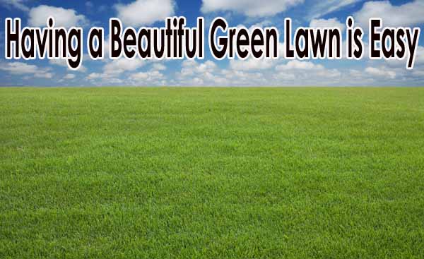 Text "having a beautiful green lawn is easy" over a background depicting a lush green lawn under a clear blue sky.