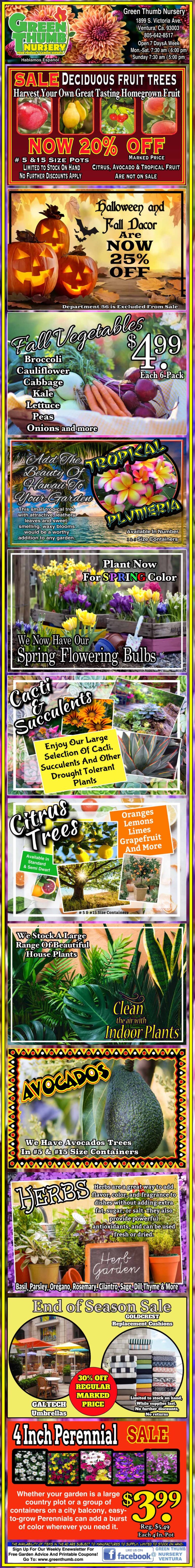 Vertical advertisement showcasing various gardening products, including fruit trees, bulbs, and foliage plants, with promotional prices and details.