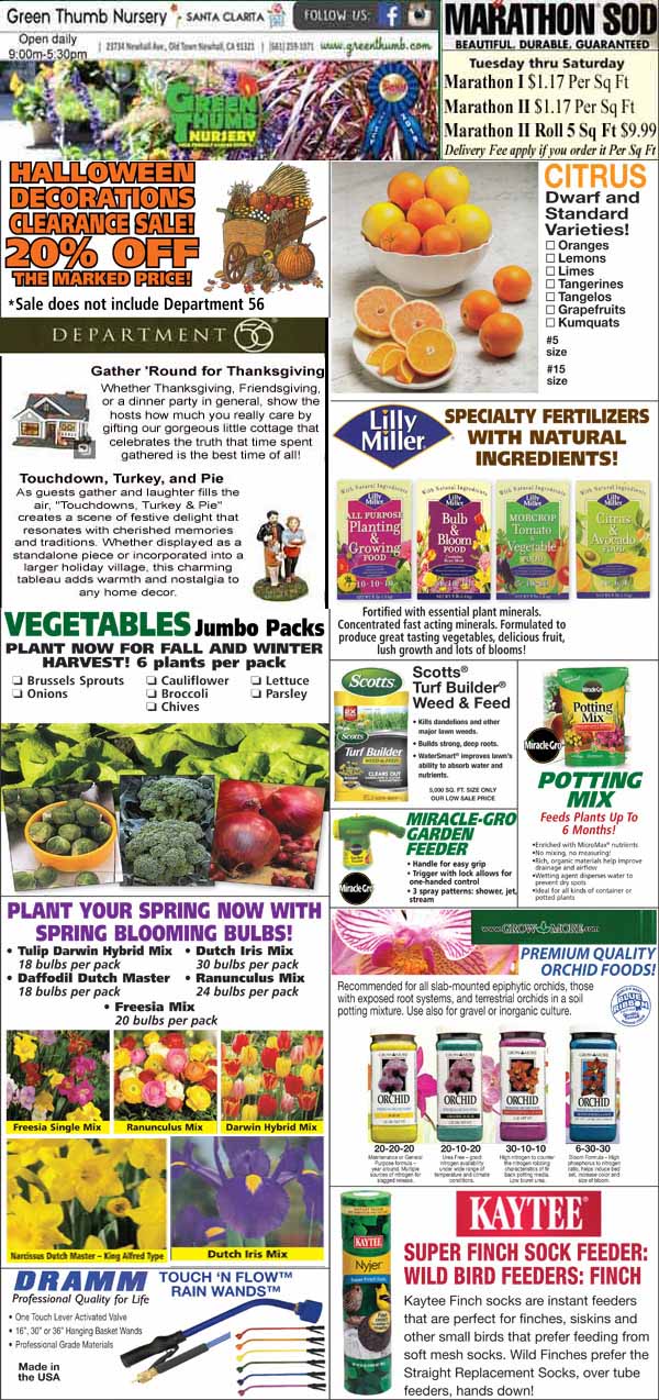 10172024 Ad for Newhall Santa Clarita Green Thumb Nursery